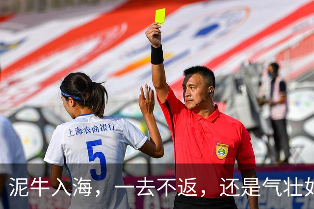 泥牛入海，一去不返，还是气壮如牛，卷土重来？这些新星给出了答案